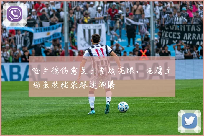 哈兰德伤愈复出首战亮眼,老鹰主场虽败犹荣球迷沸腾